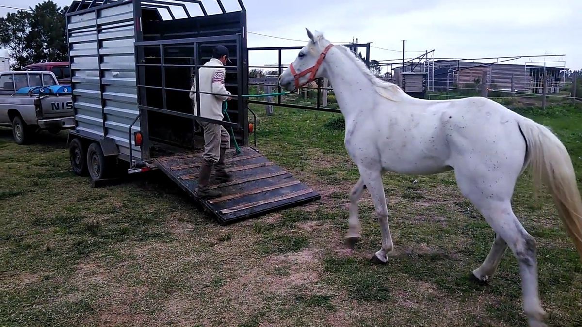 Foto ilustrativa. Foto ilustrativa.