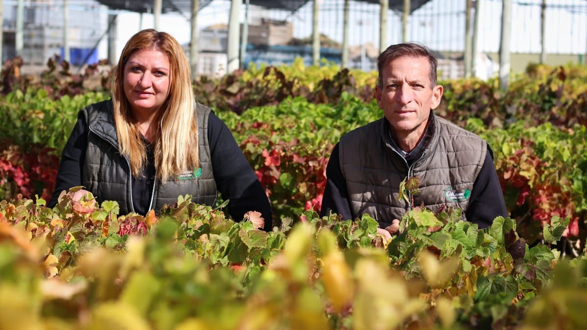 Laura Bree, enóloga del vivero Mercier y representante de la empresa en la investigación, junto al ingeniero Daniel Bergamín, ambos forman parte del equipo de investigación que también integraron científicos del Conicet.
