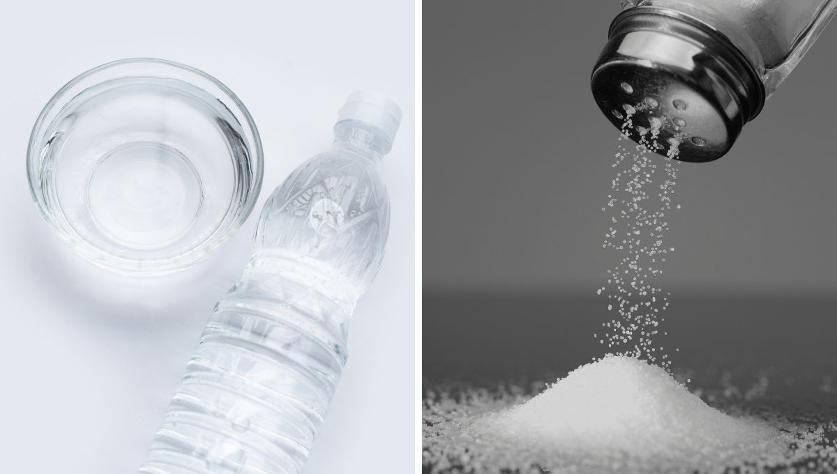 Vinagre y sal. Vinagre y sal. 