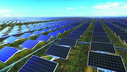 El proyecto de agricultura solar de Ningxia Baofeng Energy Group que involucra bayas de goji cultivadas bajo paneles fotovoltaicos ha recibido elogios. PARA USO DE&nbsp;CHINA DAILY