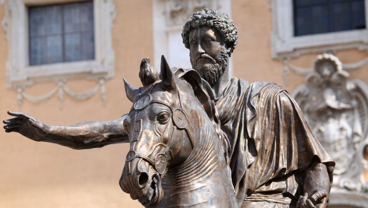 La filosofía que invita a aceptar y transformar la vida La filosofía que invita a aceptar y transformar la vida