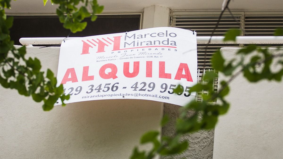ley de alquileres alquiler real estate inmobiliaria casa departamento cartel rojo anuncio argentina blanco plantas