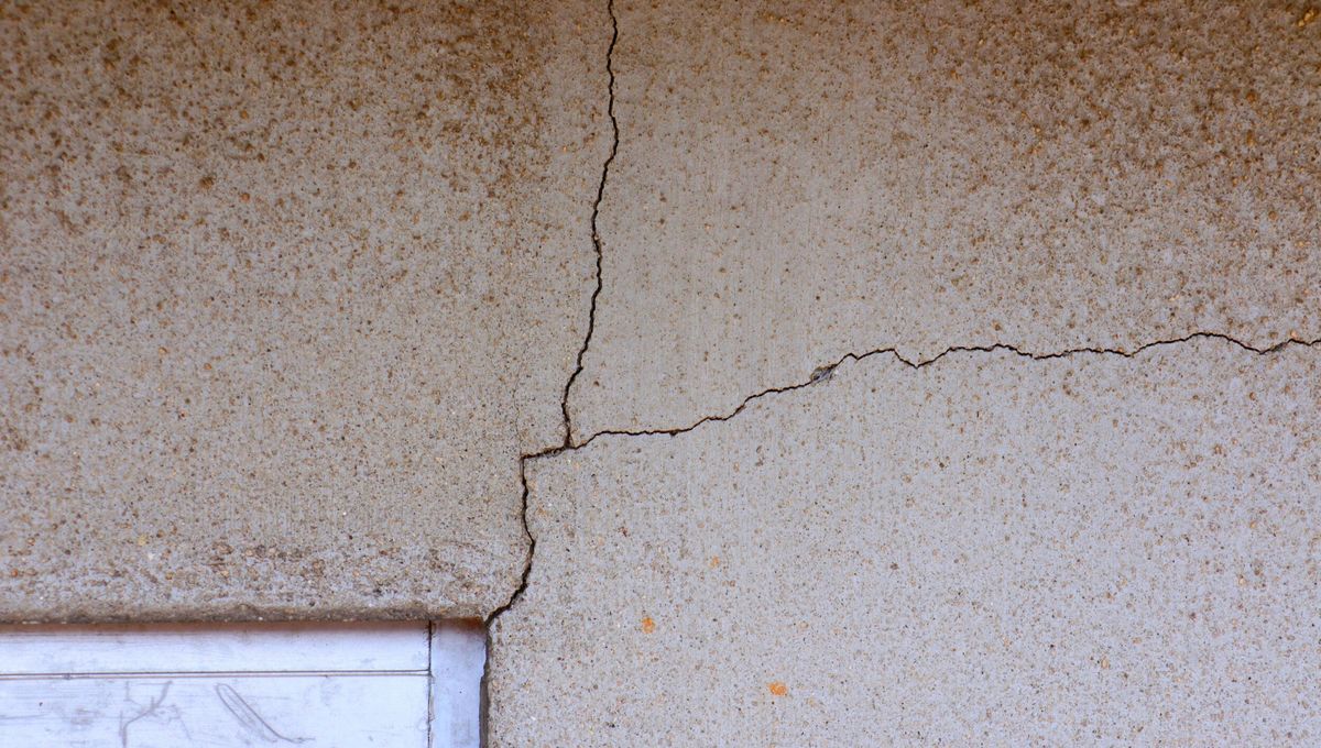 Algunas especies del jardín se sienten muy atraídas por la temperatura del hogar y las fuentes de alimentos. Algunas especies del jardín se sienten muy atraídas por la temperatura del hogar y las fuentes de alimentos. 