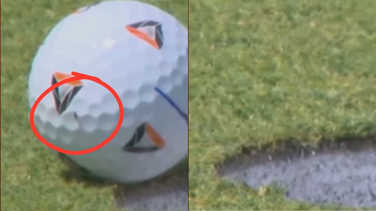 La mosca que protagonizó un torneo de golf.