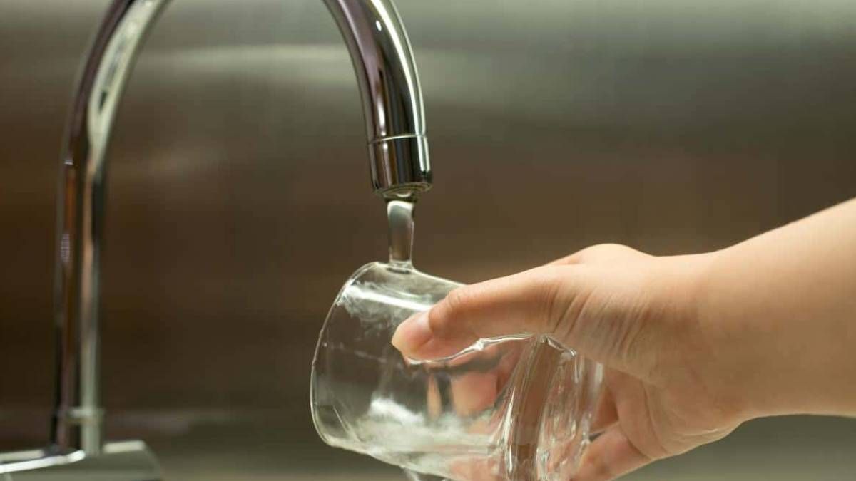Truco de limpieza: elimina el olor a huevo de los vasos en pocos minutos Truco de limpieza: elimina el olor a huevo de los vasos en pocos minutos