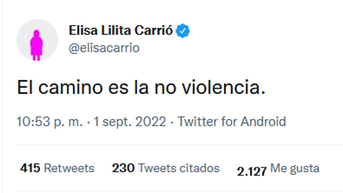 Elisa Carrió abogó por la
