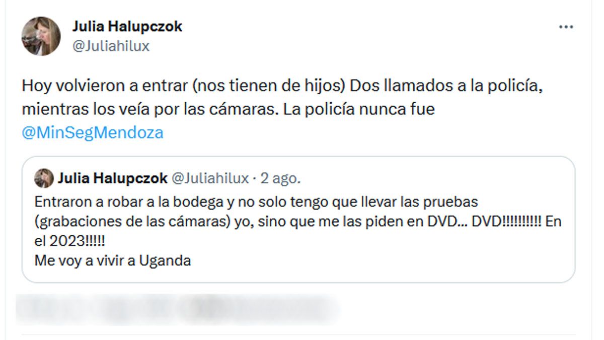 El tuit de Julia Halupczok indignada luego de ser víctima de delincuentes dos veces en una semana en su bodega Casir Dos Santos, en Fray Luis Beltrán, de Maipú.