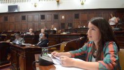 Criticaron que Cornejo omitiera los femicidios en su discurso