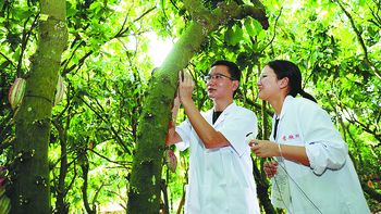 La isla de Hainan y un chocolate de primera