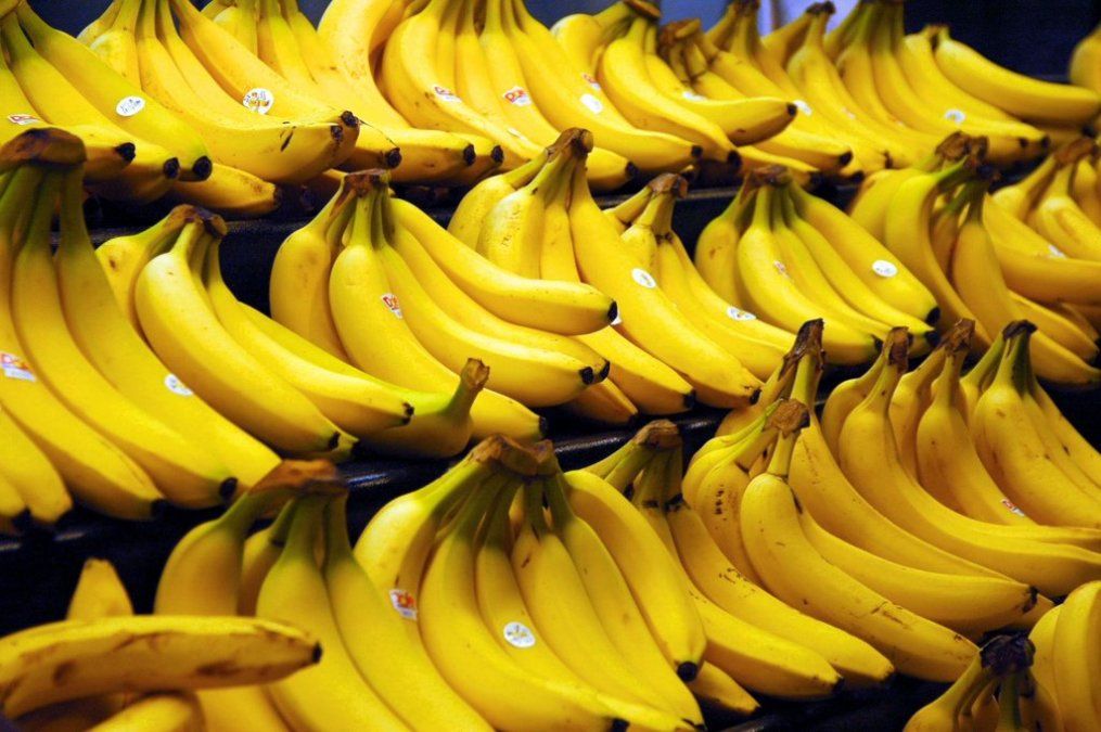 ¿Cuál es el origen del despectivo término república bananera?