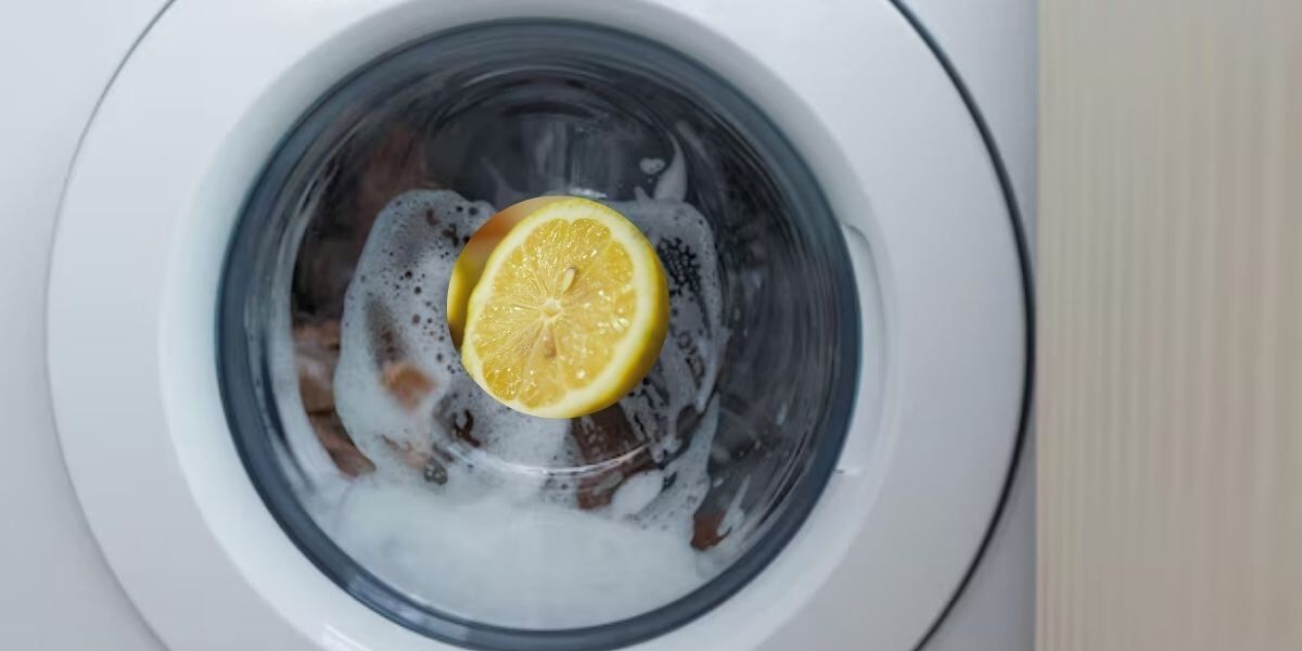Colocar limón en el lavarropas: por qué recomiendan hacerlo y para qué sirve Colocar limón en el lavarropas: por qué recomiendan hacerlo y para qué sirve