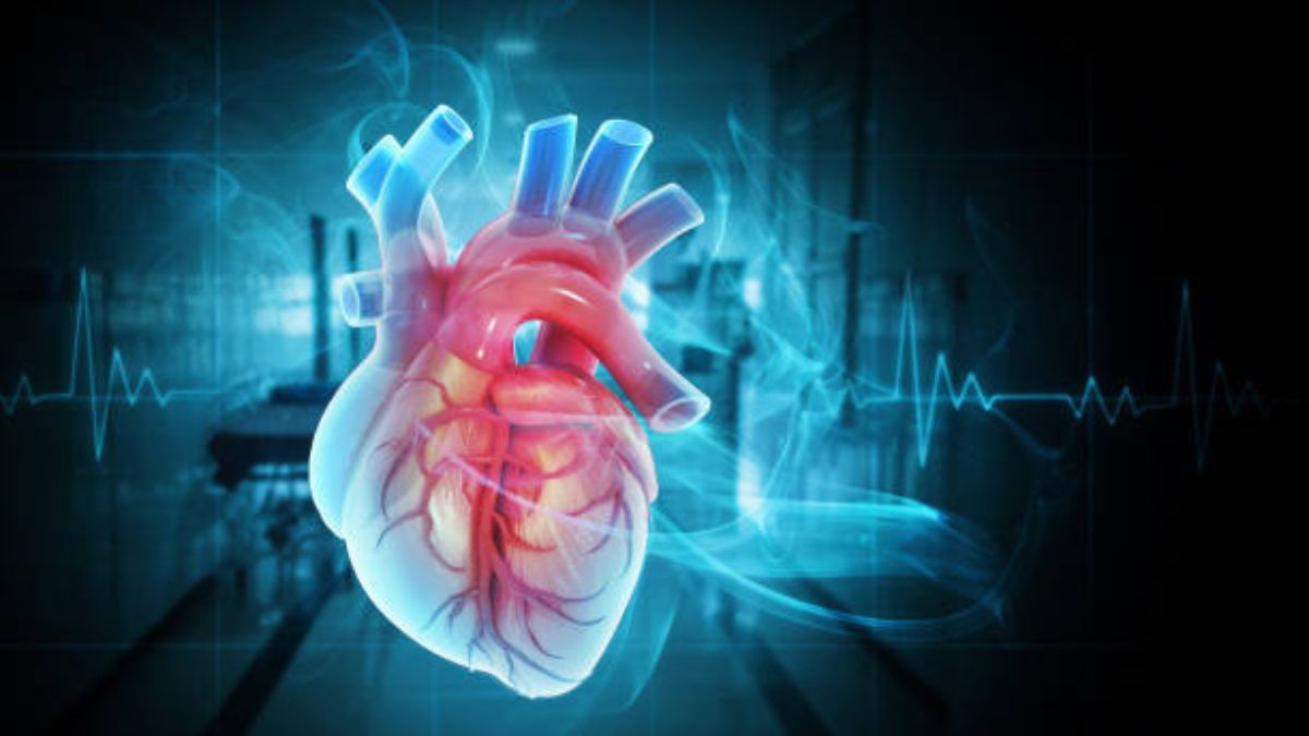 Cuántas cucharadas de canela debes consumir por día para mejorar la salud del corazón