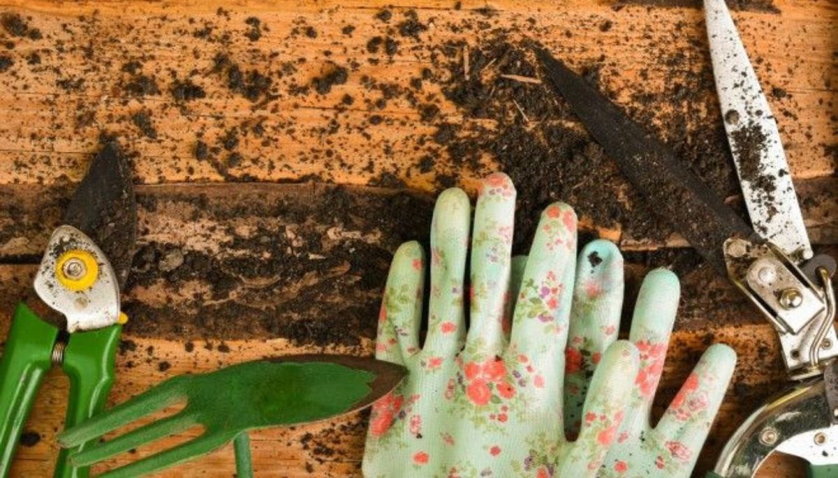 Presta atenci&oacute;n a los consejos: es la mejor inversi&oacute;n para que luzcan plenamente y en buenas condiciones.