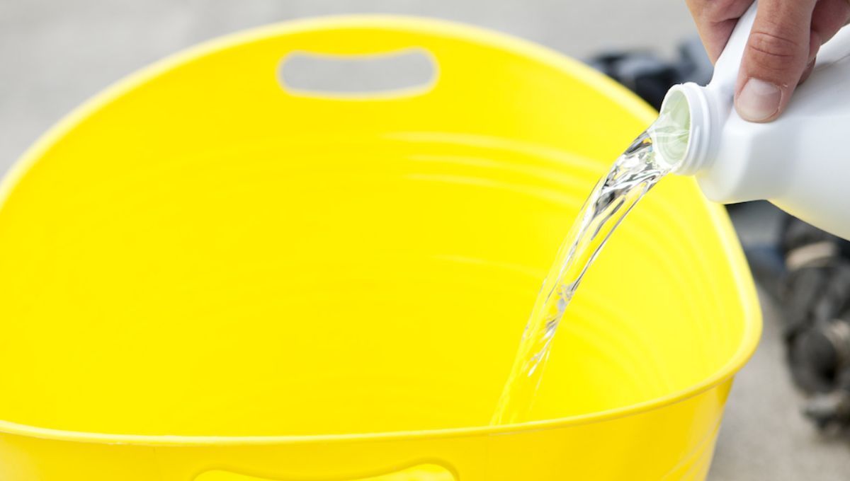 Es el más usado en Argentina: el producto de limpieza que puede ser nocivo para nuestro cuerpo