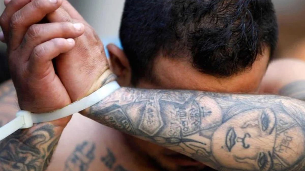 Increíble: un pandillero fue condenado a 1.420 años de prisión por más de 70 delitos graves