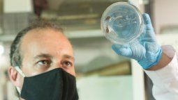Insecticidas, la clave contra los vectores chupasangre.