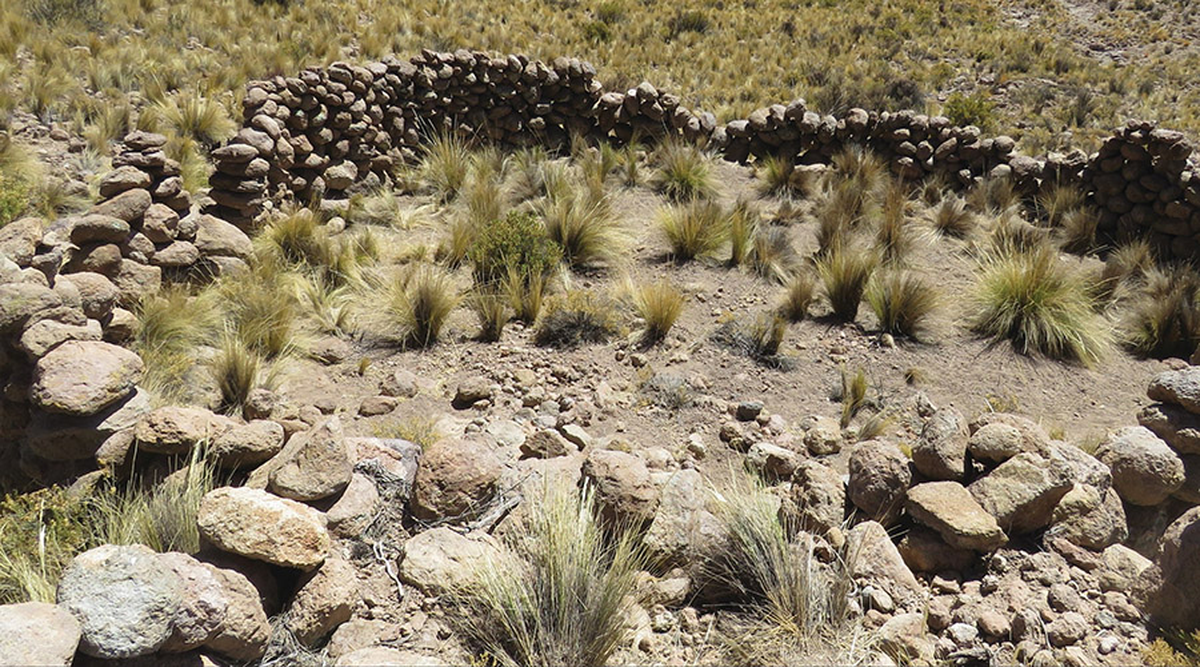 Este descubrimiento se produjo en el desierto de Atacama.