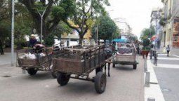 Concordia: Carreros reclaman por el impedimento de circular por el casco céntrico Concordia: Carreros reclaman por el impedimento de circular por el casco céntrico