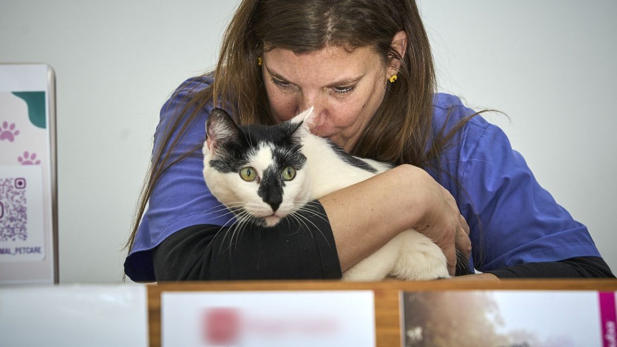 La médica veterinaria especializada en etología pone atención en estímulos positivos para modificar conductas animales. La médica veterinaria especializada en etología pone atención en estímulos positivos para modificar conductas animales.