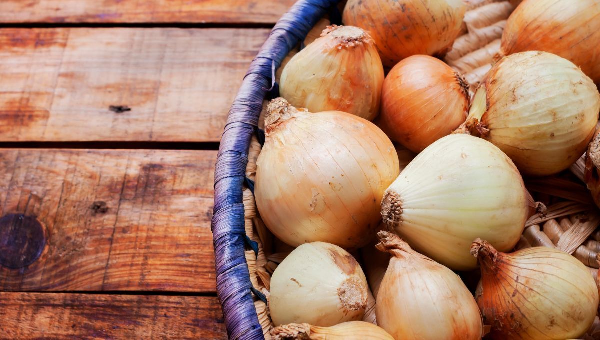 Las cebollas deben almacenarse en cajones de la cocina.&nbsp;