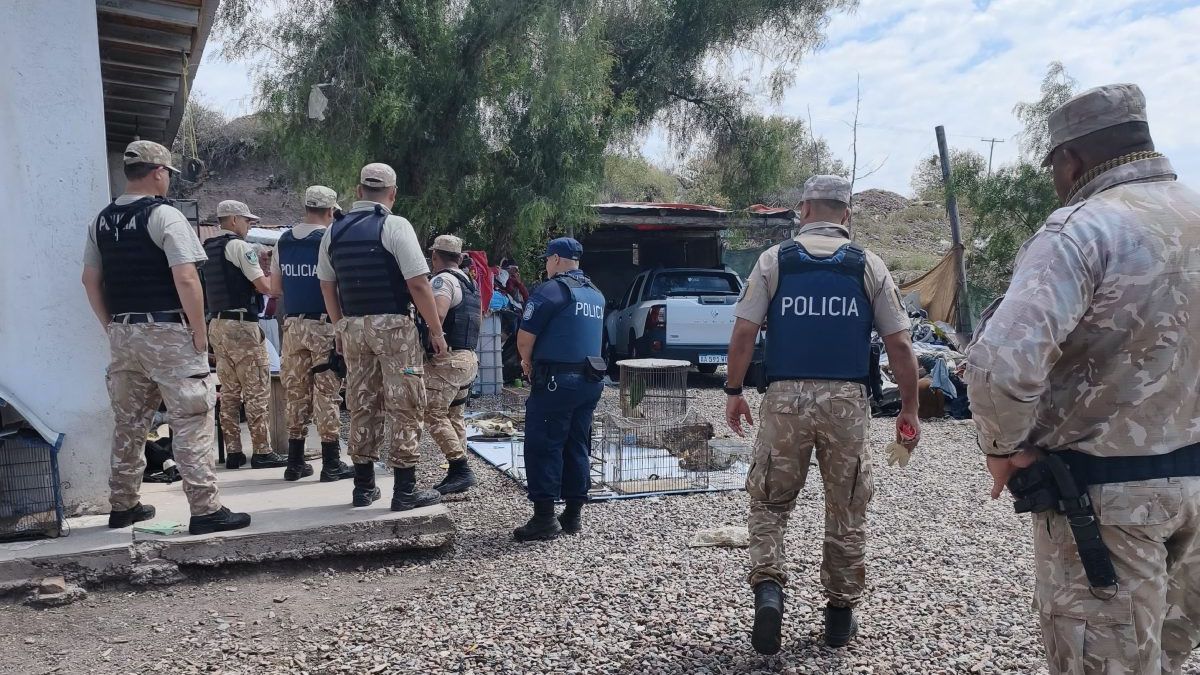 Dos detenidos en un puesto de Luján por maltrato animal: constataron triquinosis en cerdos