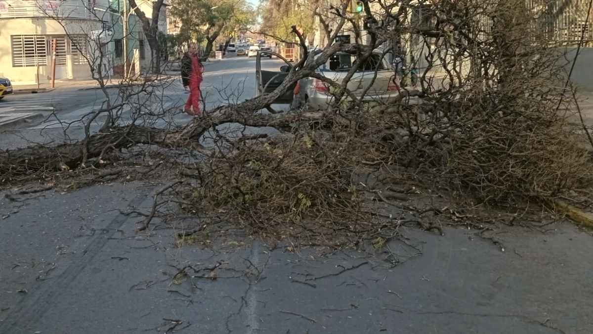 En las inmediaciones de la Fuesmen, en Ciudad, un auto sufrió daños en la parte trasera. Su dueño resultó ileso. En las inmediaciones de la Fuesmen, en Ciudad, un auto sufrió daños en la parte trasera. Su dueño resultó ileso.