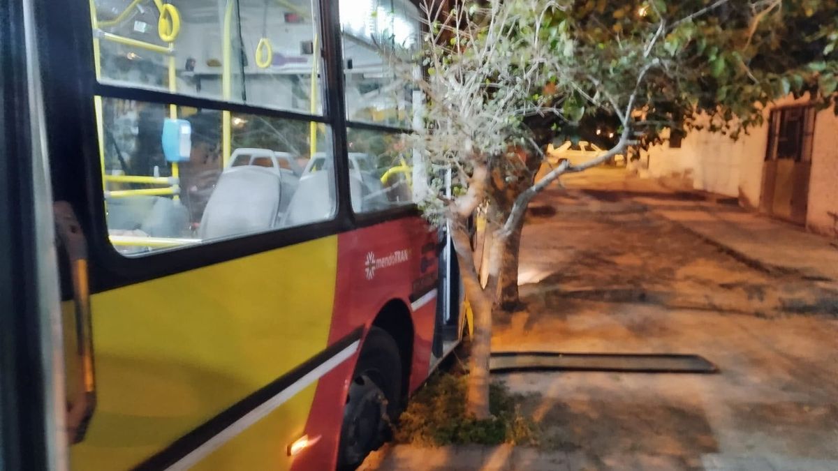 El micro terminó con una parte dentro de una acequia cuando el chofer perdió el control de la unidad mientras forcejeaba con un asaltante en Las Heras. El micro terminó con una parte dentro de una acequia cuando el chofer perdió el control de la unidad mientras forcejeaba con un asaltante en Las Heras.