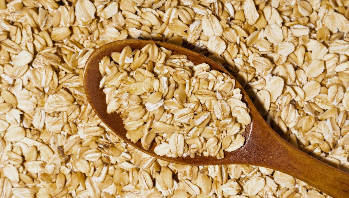 Estos son los beneficios de la avena en las hortensias. Estos son los beneficios de la avena en las hortensias.