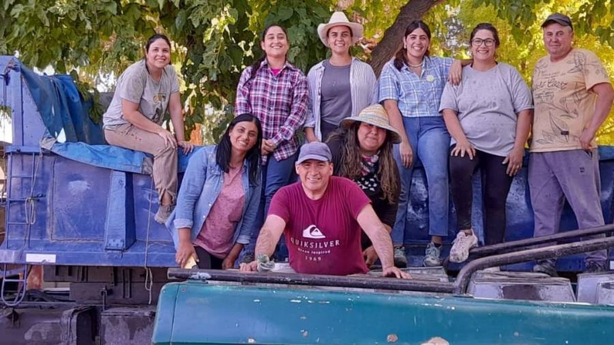 Un proyecto pedagógico de un jardín de Las Catitas derivó en una actividad conjunta en fincas: cosechar y vender uvas. Un proyecto pedagógico de un jardín de Las Catitas derivó en una actividad conjunta en fincas: cosechar y vender uvas.