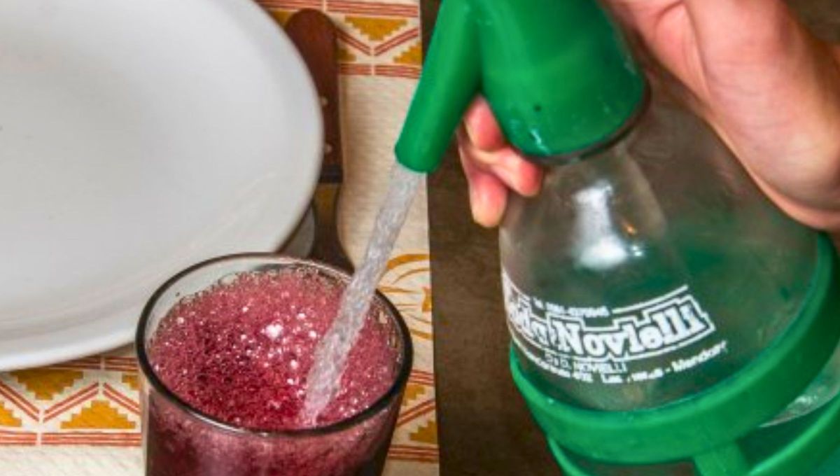 Vino con soda: el invento argentino que genera orgullo nacional y conquista paladares