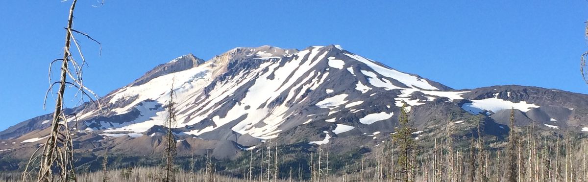 Mount Adams es el volcán más activo de Washington. Mount Adams es el volcán más activo de Washington.