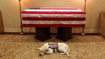 El perro de George H. W. Bush lo acompaña en su último viaje
