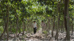 Ciencias Agrarias impulsa una nueva Maestría en Extensión y Desarrollo Rural