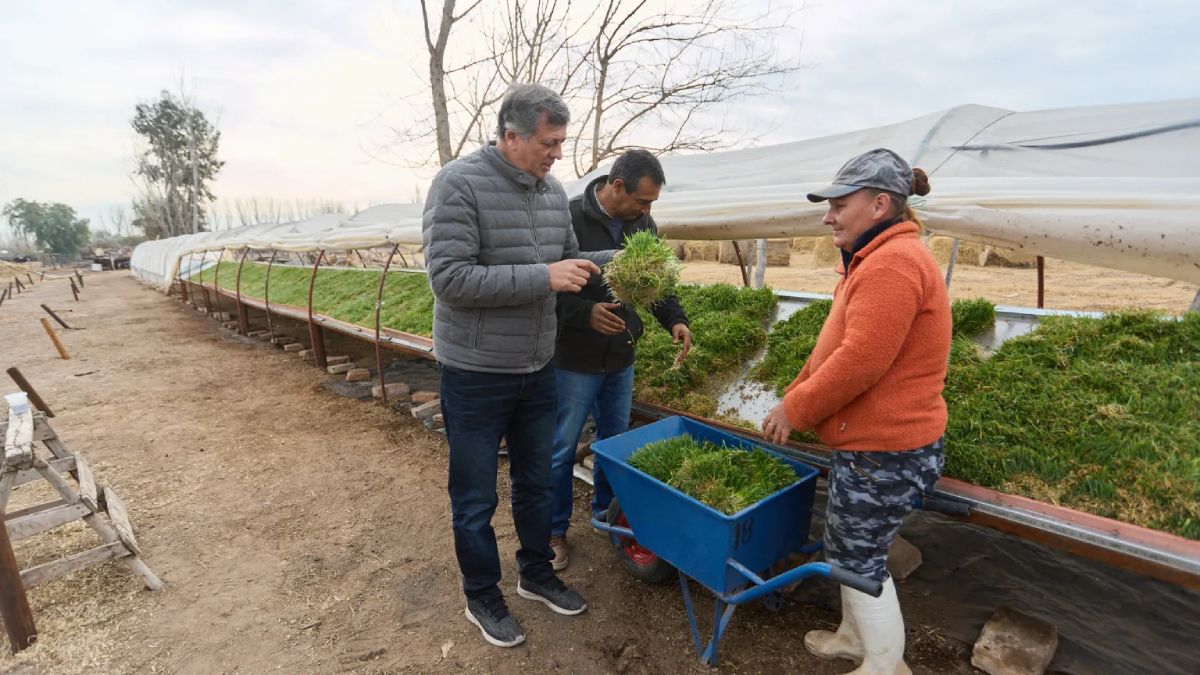 El intendente Orozco creó el Proyecto Municipal de Apoyo al sector tambero y visitó el tambo donde se alimenta el ganado con pastos cultivado sin uso del suelo. El intendente Orozco creó el Proyecto Municipal de Apoyo al sector tambero y visitó el tambo donde se alimenta el ganado con pastos cultivado sin uso del suelo.