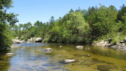 Córdoba. Una mujer fue hallada atada a orillas de un río. Córdoba. Una mujer fue hallada atada a orillas de un río.