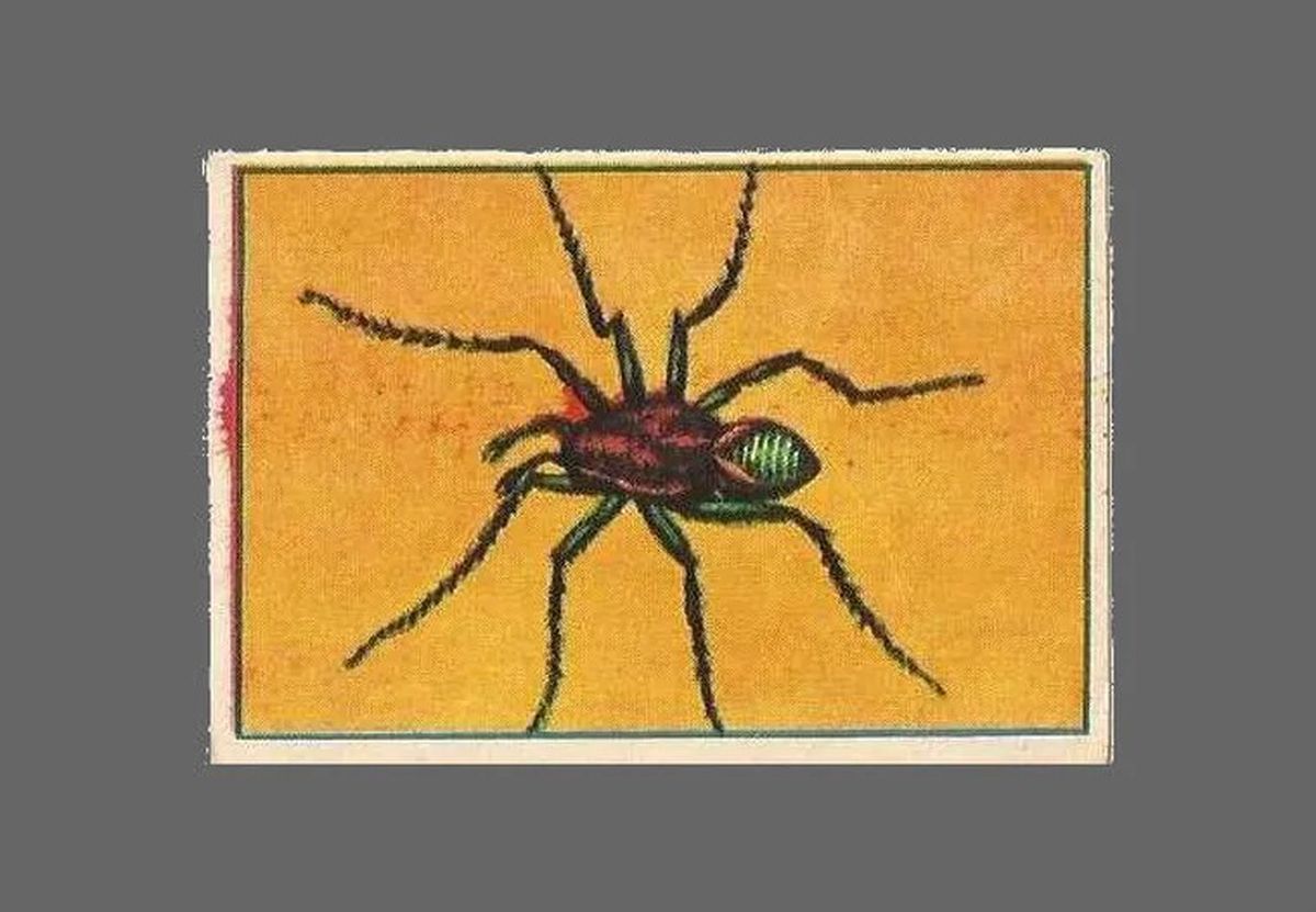 La tarántula, la figurita difícil de mediados de los '80. La tarántula, la figurita difícil de mediados de los '80.