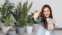 Renueva la decoración de tu hogar con plantas auténticas.