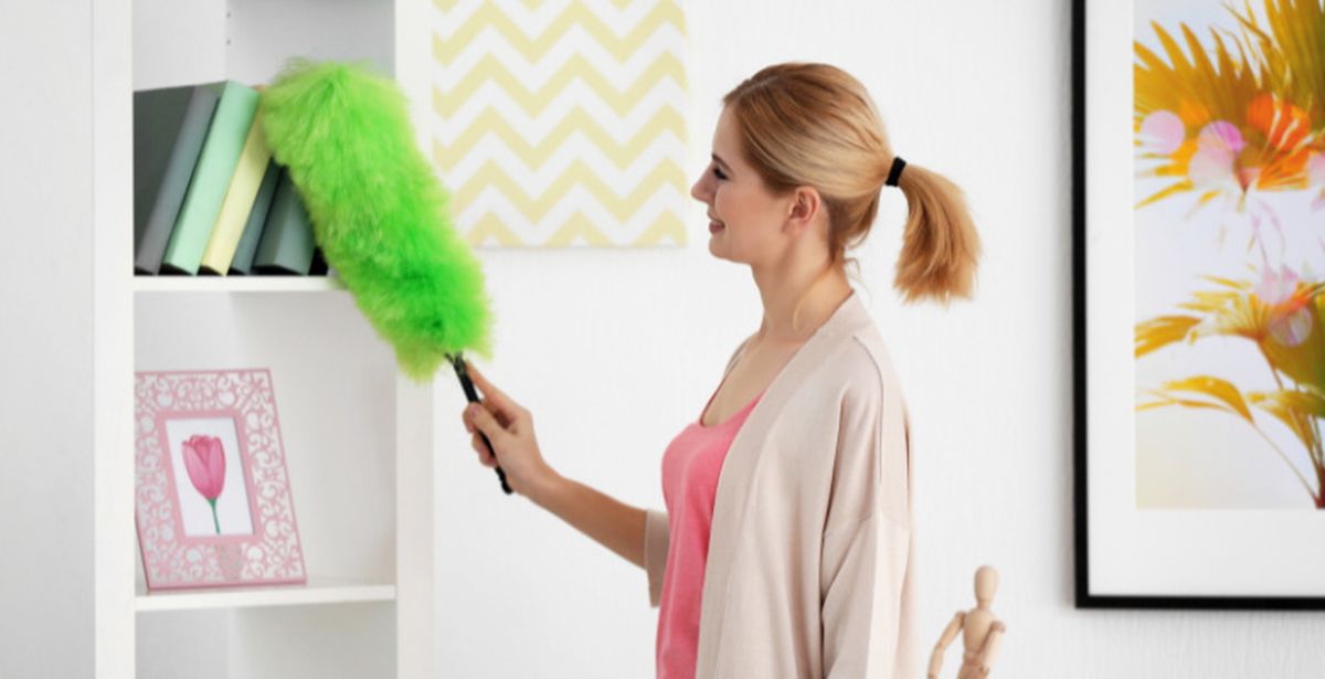 El plumero puede quedar sin uso ante la llegada de nuevas tendencias. El plumero puede quedar sin uso ante la llegada de nuevas tendencias. 