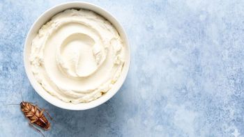 Cómo eliminar a las cucarachas de casa usando un poco de queso crema: trampa casera efectiva Cómo eliminar a las cucarachas de casa usando un poco de queso crema: trampa casera efectiva