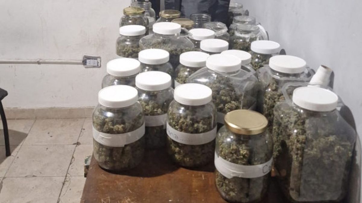 En los procedimientos, Gendarmería Nacional encontró a la presunta líder de la organización y secuestró drogas. En los procedimientos, Gendarmería Nacional encontró a la presunta líder de la organización y secuestró drogas.