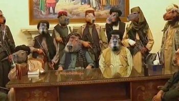 Memes de carpinchos: ¡volvieron los roedores más queridos de las redes!