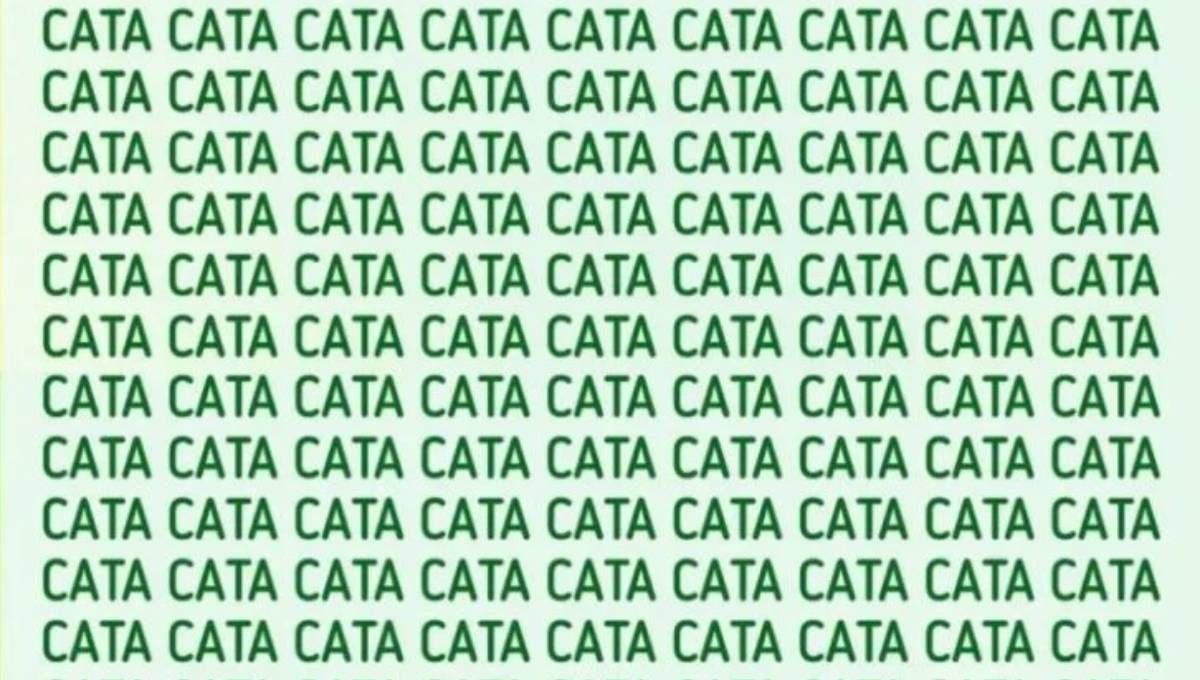 Solo las personas inteligentes encuentran la palabra CAPA en 5 segundos