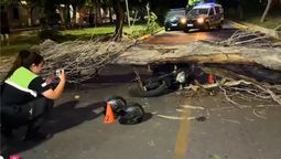 La moto quedó debajo del árbol. Ocurrió en Guaymallén. La moto quedó debajo del árbol. Ocurrió en Guaymallén.