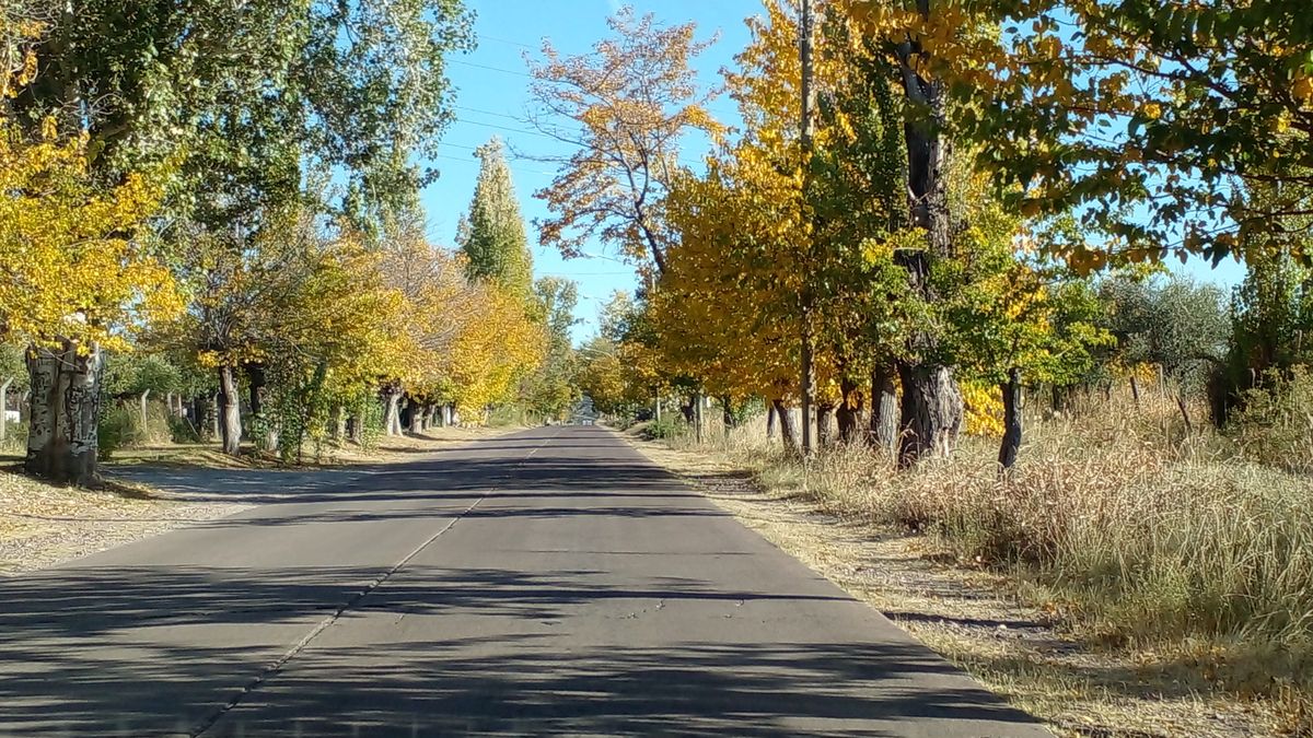 El distrito de Lunlunta en Maipú se caracteriza por su tranquilidad y apasibilidad, que se ve alterada por fiestas con fuertes decibeles de música en lugares ilegales. 