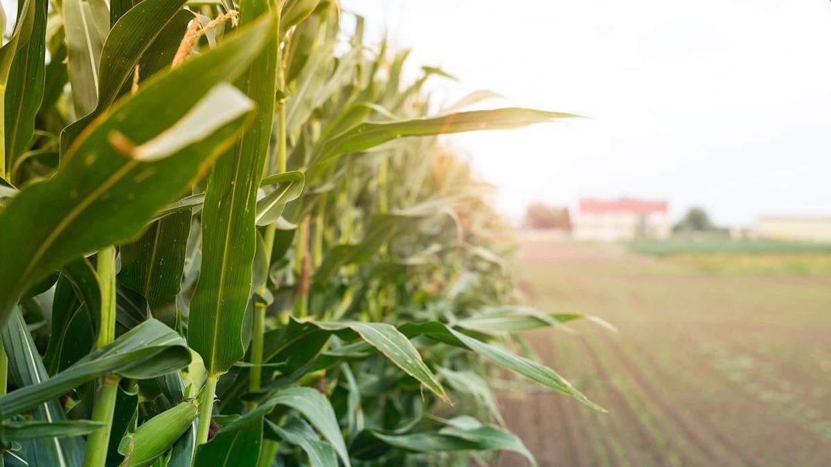Pyme de Mendoza, entre las mejores del mundo