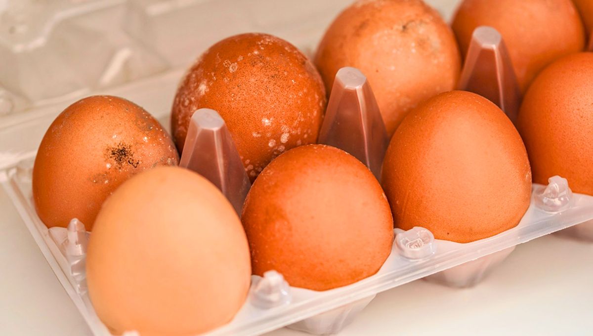 ¿Qué debes hacer si los huevos tienen pelusa blanca o moho en la cáscara?