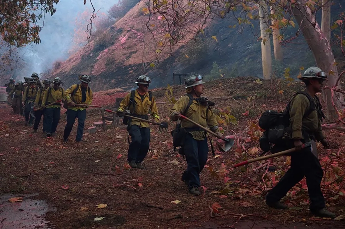 Los bomberos trabajan en el incendio forestal de Palisades en Los Ángeles, California. Crédito: EFE/EPA/Allison Cena.