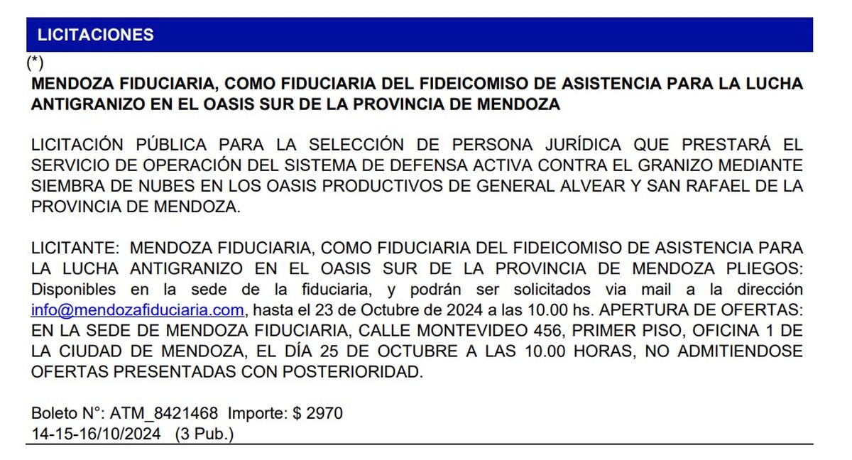 El llamado a licitación que se publicó este lunes en el Boletín Oficial. 