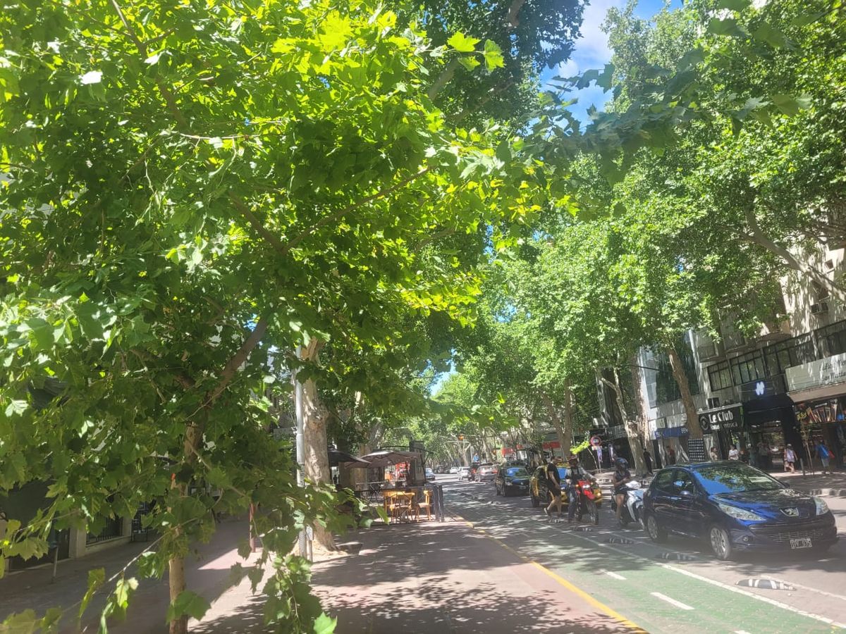 Tranquilidad de enero en la avenida San Mart&iacute;n.