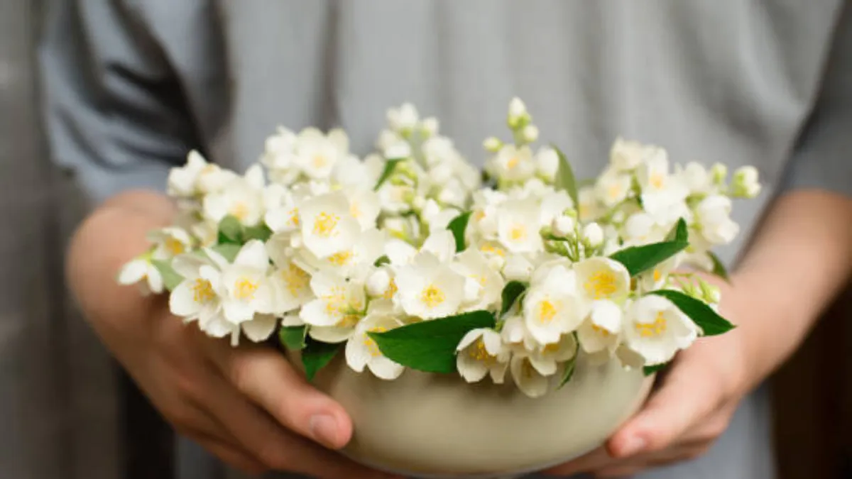 Prepara un aromatizante casero económico y con aroma fresco. Imagen: Freepik